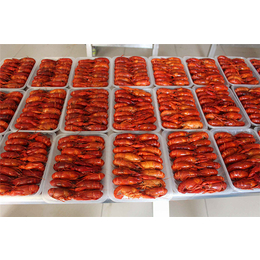 淡水虾类冷冻厂|柳伍水产(在线咨询)|淡水虾