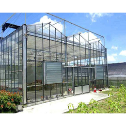 花卉玻璃温室大棚、长治玻璃温室大棚、太原益兴诚温室工程