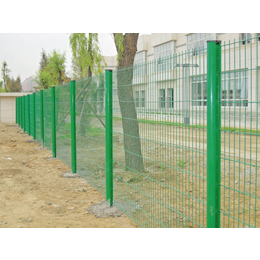 双边丝护栏网的特点学校用护栏网片 果园网护栏网养殖养鸡网定制