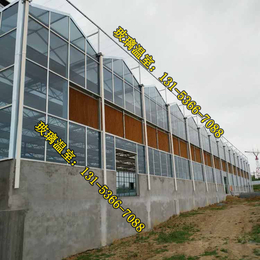 玻璃温室_金盟温室(图)_山东玻璃温室大棚建设