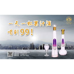 果汁酒工厂-顺义果汁酒-广东华子龙厂家(多图)