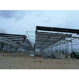 智能温室大棚厂家-鑫凯农业(在线咨询)-陕西智能温室大棚