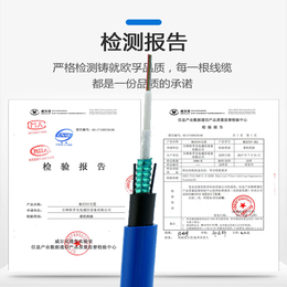 光纤MGXTSV-12B1 厂家4-12芯 煤矿蓝色阻燃光缆