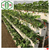 天津草莓立体支架式栽培A种植槽种植设备华耀生产缩略图1