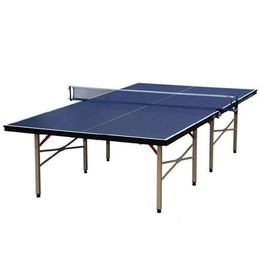 室内移动乒乓球台价格多少|强森体育|北京室内移动乒乓球台
