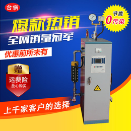 电热蒸汽发生器市场-上海电热蒸汽发生器-台锅锅炉
