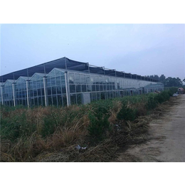 哈密玻璃连体大棚-亿农农业-玻璃连体大棚建造厂家
