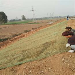 江西抚州高速护坡绿化环保草毯 生态植草毯 植物纤维毯