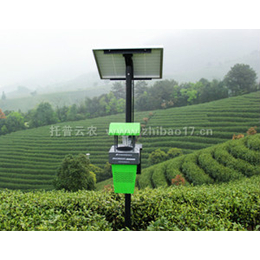 应用茶园杀虫灯提升茶园产量