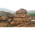 安徽便宜的龟纹石|满意石业客户至上|龟纹石缩略图1