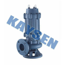 进口排污泵产品选型-德国KAYSEN品牌缩略图