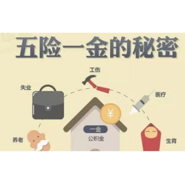 佛山代买社保1南海代买社保1代买顺德三水社保缩略图