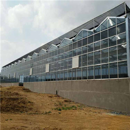 咸宁玻璃温室效果图-玻璃温室-武汉玻璃温室建设