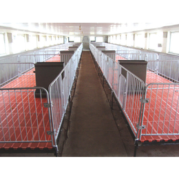 青岛猪保育栏(图),养猪保育栏,猪保育栏