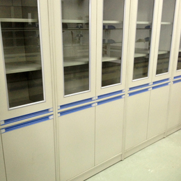佛山钢木结构药品柜 钢木药品柜器皿柜 **柜 学校实验室