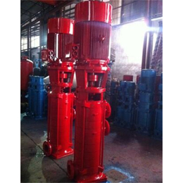 新楮泉水泵-32CDLF4-140立式冲压泵