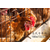 鹤壁海兰褐蛋鸡青年鸡养殖基地 海兰褐蛋鸡青年鸡利用年限缩略图1