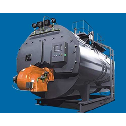 小型燃气锅炉-净昇环保设备(在线咨询)-陕西燃气锅炉