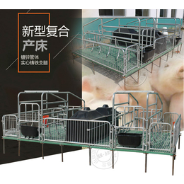 厂家*母猪产床复合双体母猪产床尺寸猪用产床复合产床价格缩略图