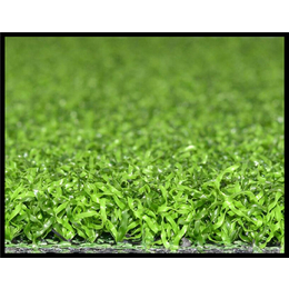 邯郸市工地围挡草坪人造草坪每平米价格