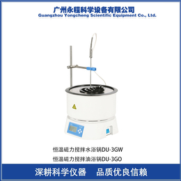 上海一恒 DU-30GO 实验室精密恒温磁力搅拌油浴锅