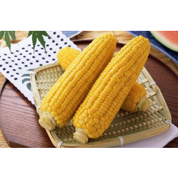 新余求购玉米-收购玉米的公司-汉光现代农业(推荐商家)