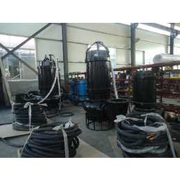 CNQ型*潜水污泥泵厂商 排沙泵生产商