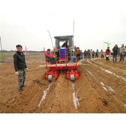 中热农业机械(图)-甘蔗种植机视频-甘蔗种植机