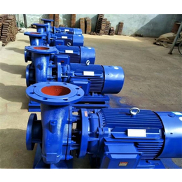 潍坊ISW250-250铸铁管道泵-新楮泉泵业