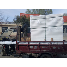 青州迪生豆芽生产线-迪生自动化设备公司