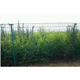 鄂州蔬菜种植基地防护网围栏网 果园果树种植护栏网价格缩略图