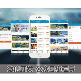 南京奋钧有限公司(图)-公司微信程序开发-南京微信程序开发
