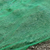 遮阳盖土网 绿化盖土网 绿色工程盖土网厂家*缩略图1