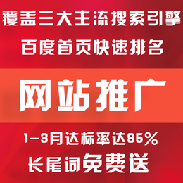 广州全网推广  网站推广策划 网站优化推广 实现首页霸屏