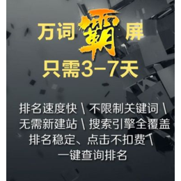 万次霸屏推广+朋友圈广告+小程序公众号开发+APP开发缩略图