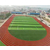滁州人造草坪-安徽启运品质优良-屋顶人造草坪缩略图1