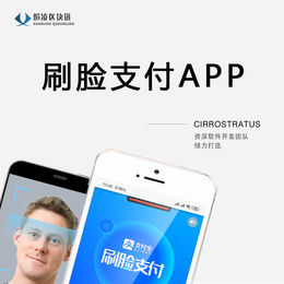 广州刷脸支付服务商系统 源码app