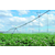 大型农业滴灌系统-恩施农业滴灌系统-农业喷灌系统缩略图1