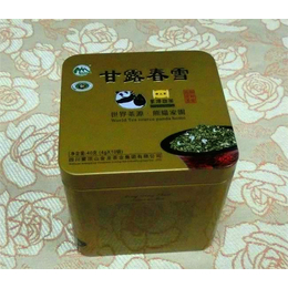 化妆铁盒-丰迪制罐(在线咨询)-大岭山镇铁盒