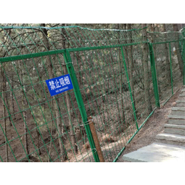 铁丝网护栏-护栏网多少钱(图)-1.8米高铁丝网护栏