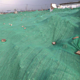 电厂遮阳盖土网 矿场塑料盖土网 码头绿色防尘网