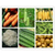 祥茂膳食(图)-蔬菜配送中心-花都蔬菜配送缩略图1