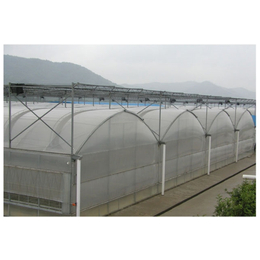 玻璃智能温室大棚造价-温室大棚-青州市瑞青农林科技(查看)
