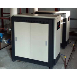低氮冷凝锅炉-净昇环保设备-阳泉冷凝锅炉