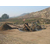 挖沙机械厂-黑龙江挖沙机械-青州市海天机械缩略图1