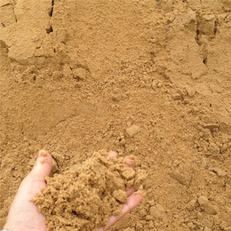 建筑沙子哪里多-*建材值得推荐-浙江建筑沙子