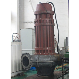 供应污水输送排放250QLX不锈钢水产业排水潜水螺旋离心泵