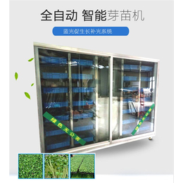襄州区100斤芽苗菜种植机-迪生自动化设备