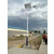 邯郸乡村照明6米60W LED太阳能路灯厂家 路灯维修配件缩略图1