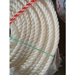 出售圆丝绳-凯利制绳(在线咨询)-福州圆丝绳